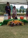 テリア展EXG２０１７１０．２８